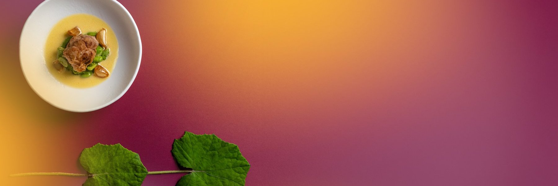 Gourmetgericht in heller Sauce auf farbigem Untergrund mit grünem Blatt